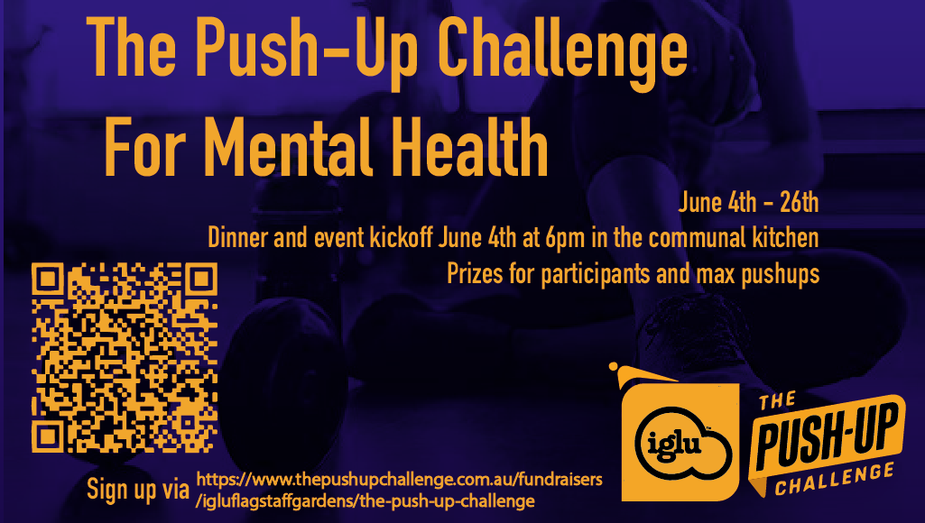 The Push-Up challenge for Mental Health