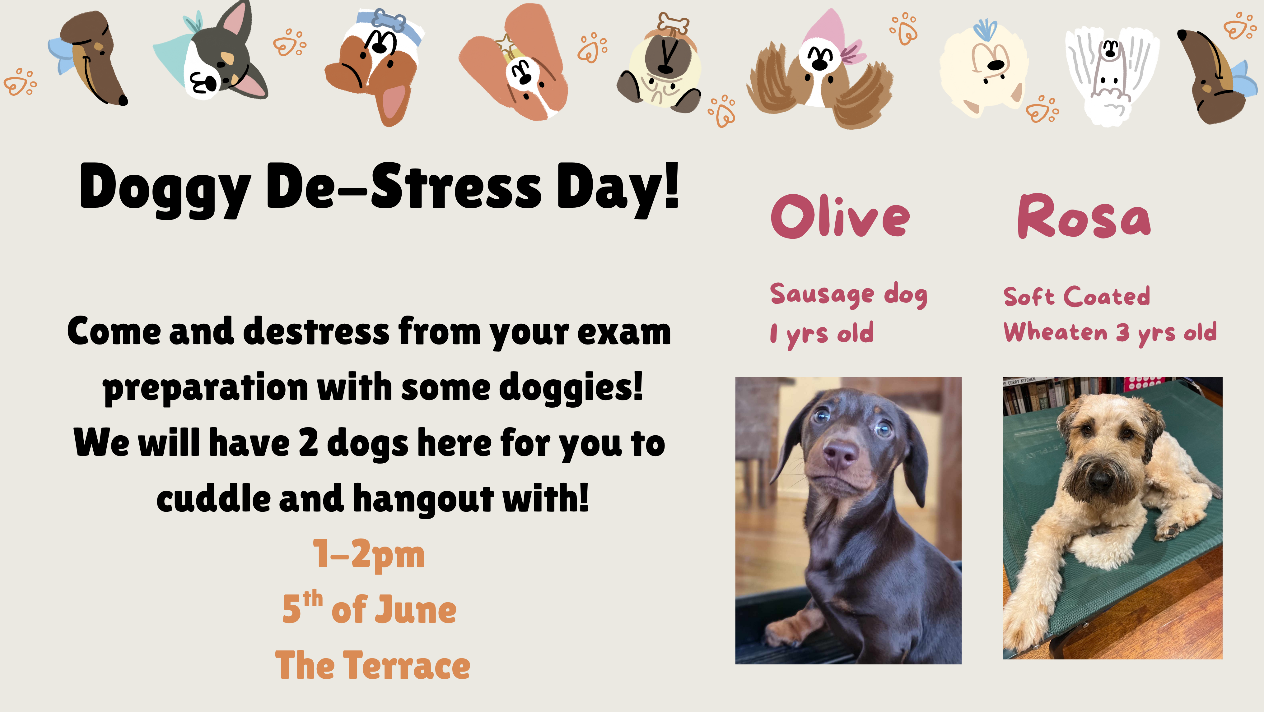 Doggy Stress Day