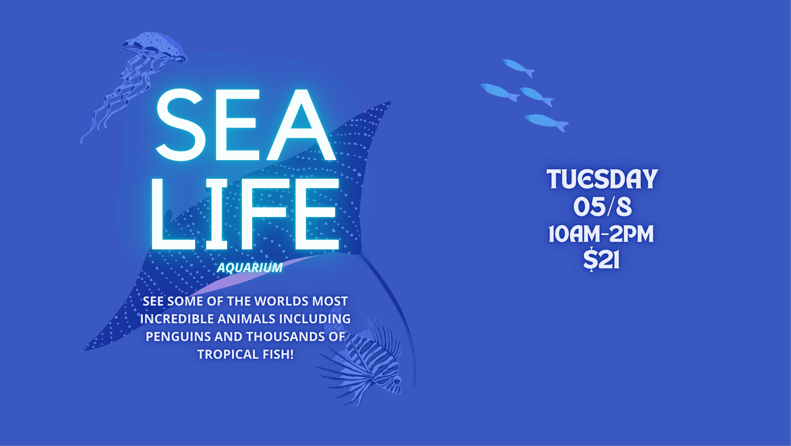 Sea Life Aquarium