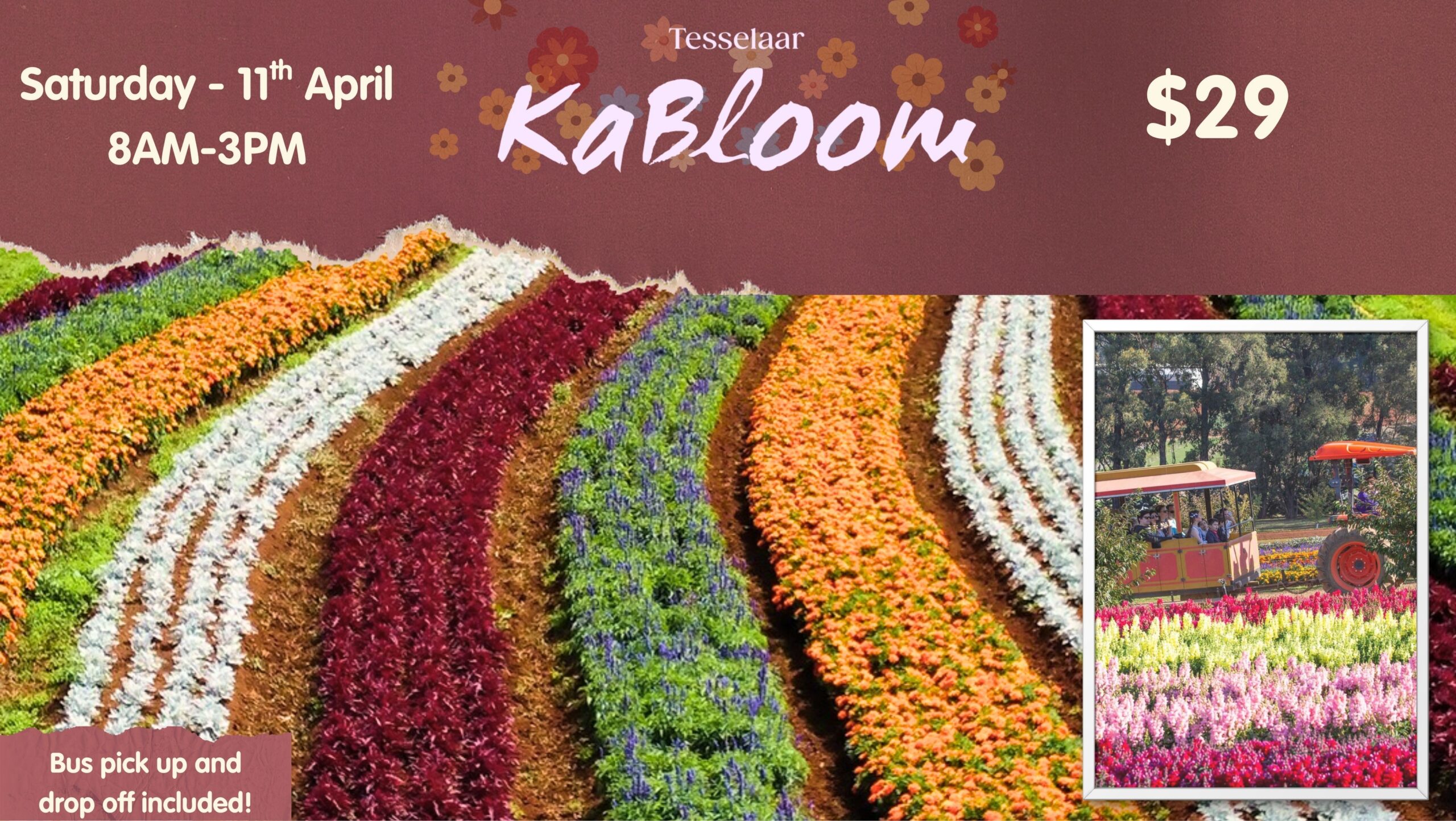 Tesselar Kabloom Festival