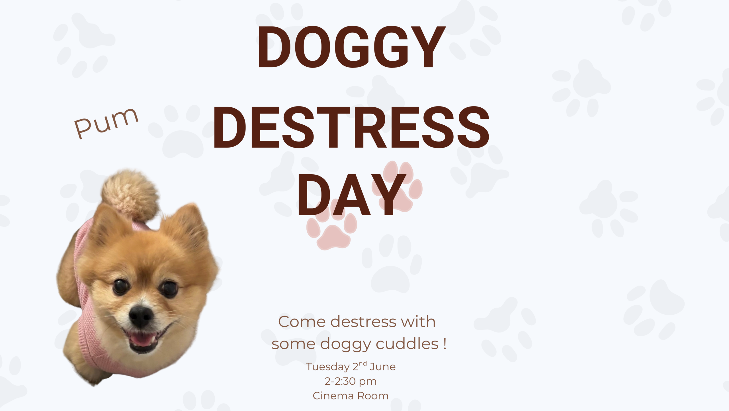 Doggy Destress with Pum