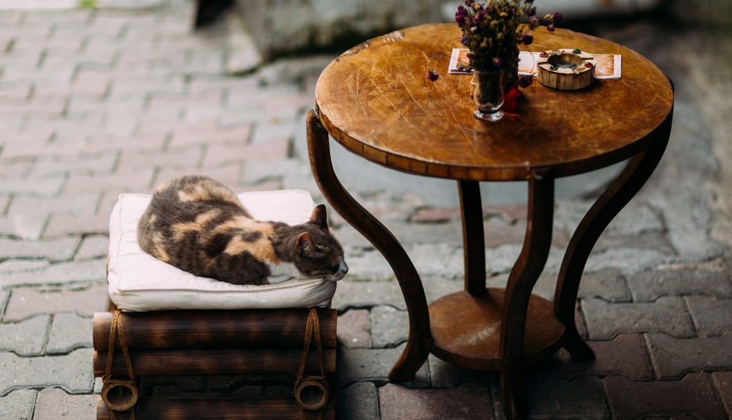 Cashmere Cat Cafe