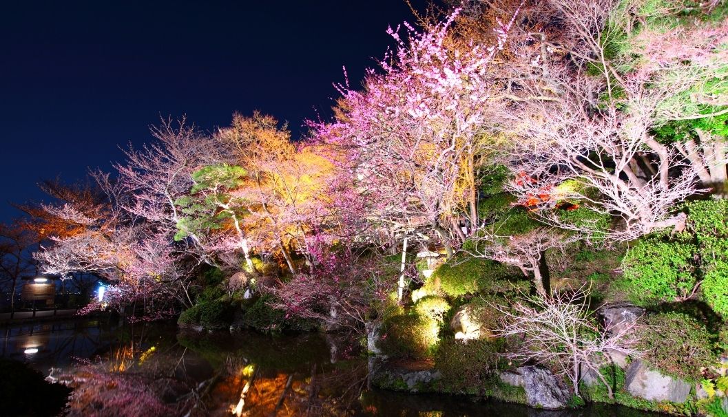 Lightscape